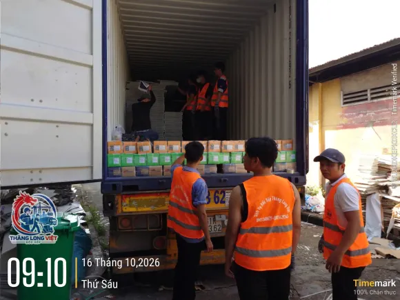 Bốc Xếp Container 20ft – Nhân Công Đóng Rút Hàng Chuyên Nghiệp