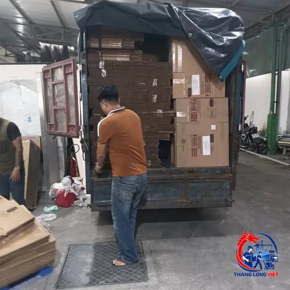 Bốc Xếp Container 20ft – Nhân Công Đóng Rút Hàng Chuyên Nghiệp