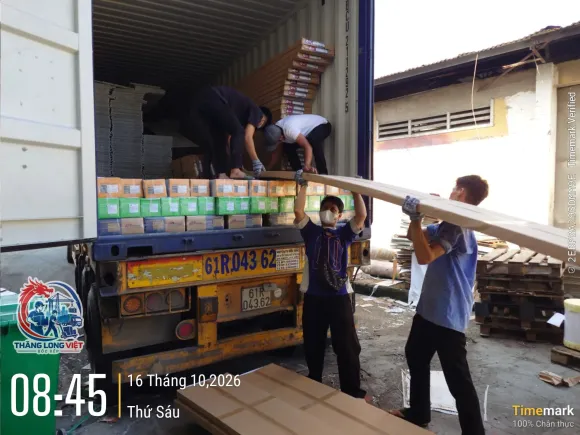 Bốc Xếp Container 20ft – Nhân Công Đóng Rút Hàng Chuyên Nghiệp