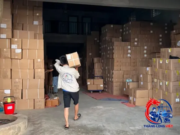 Bốc xếp hàng thùng carton: Hạn chế móp, dễ bàn giao