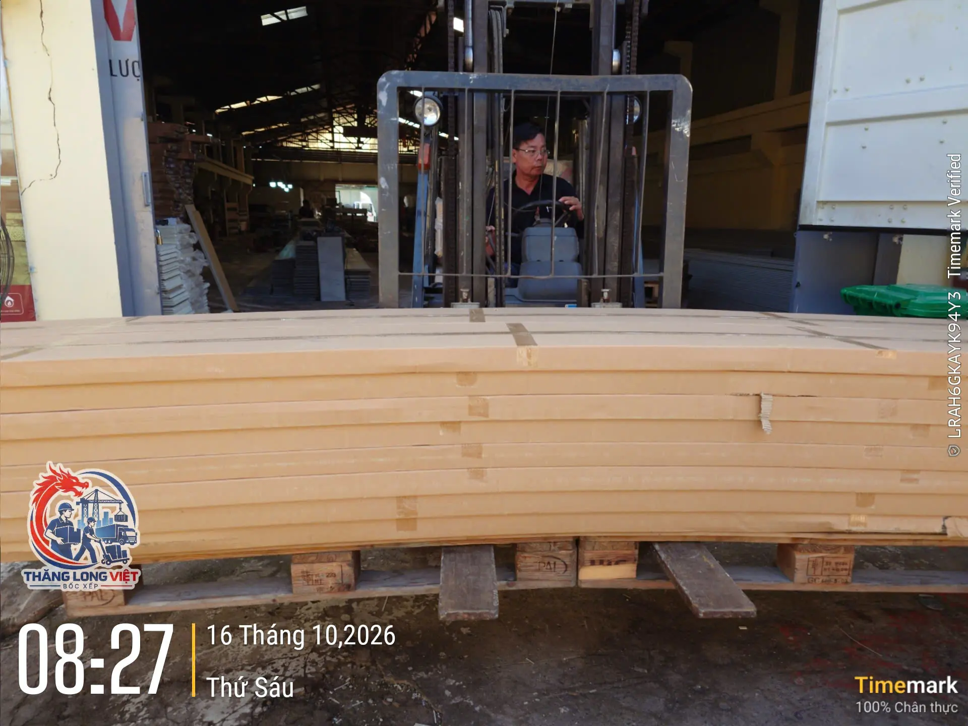 Bốc xếp h&agrave;ng container l&ecirc;n pallet kết hợp xe n&acirc;ng