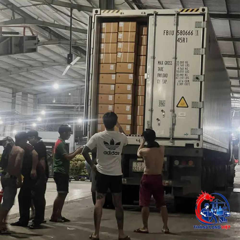 Bốc xếp gi&aacute; rẻ TPHCM tại Thăng Long Việt