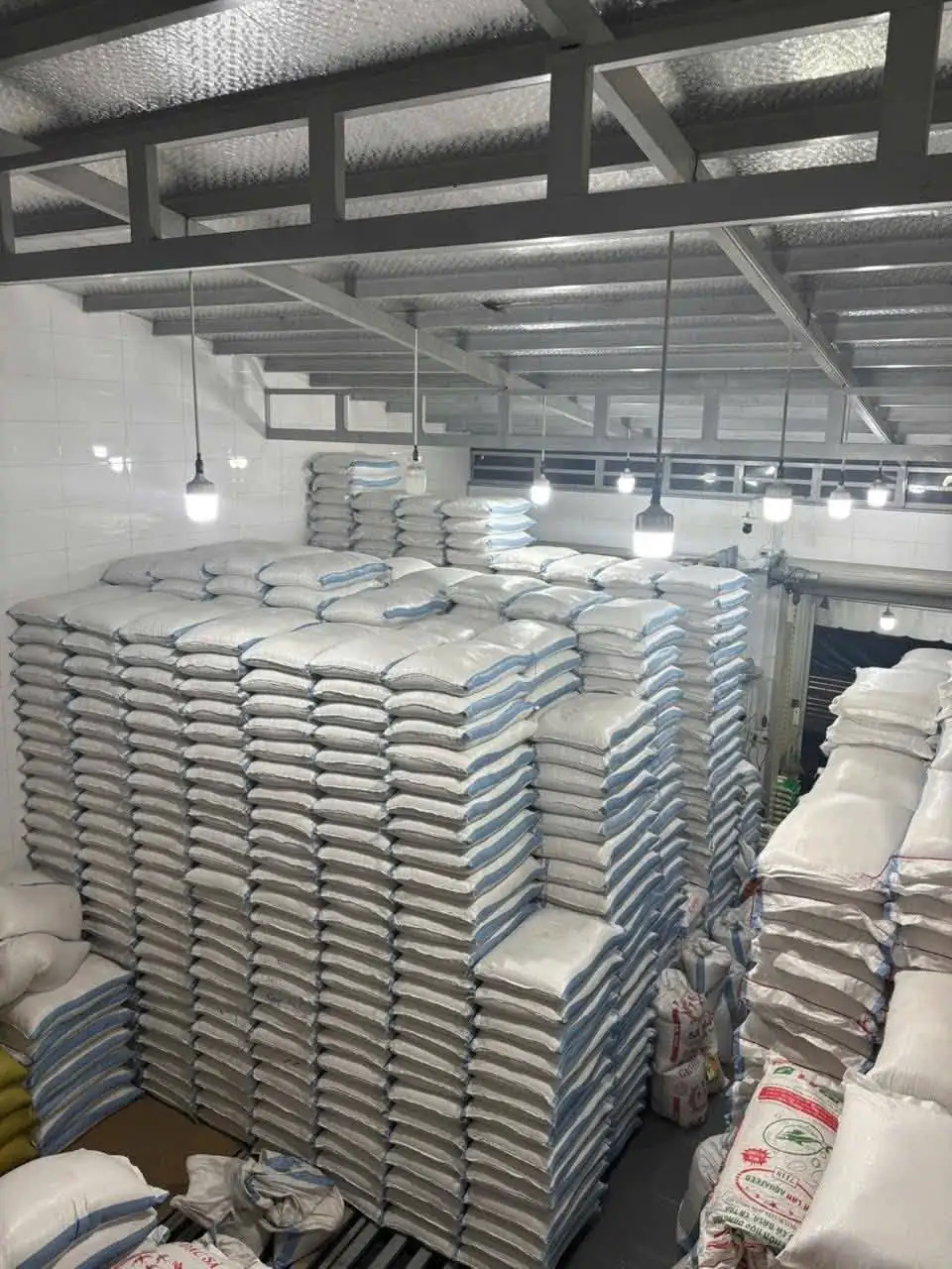Nh&acirc;n c&ocirc;ng bốc xếp kho h&agrave;ng B&igrave;nh Ch&aacute;nh TPHCM