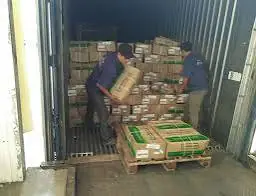 Thu&ecirc; nh&acirc;n c&ocirc;ng bốc xếp container